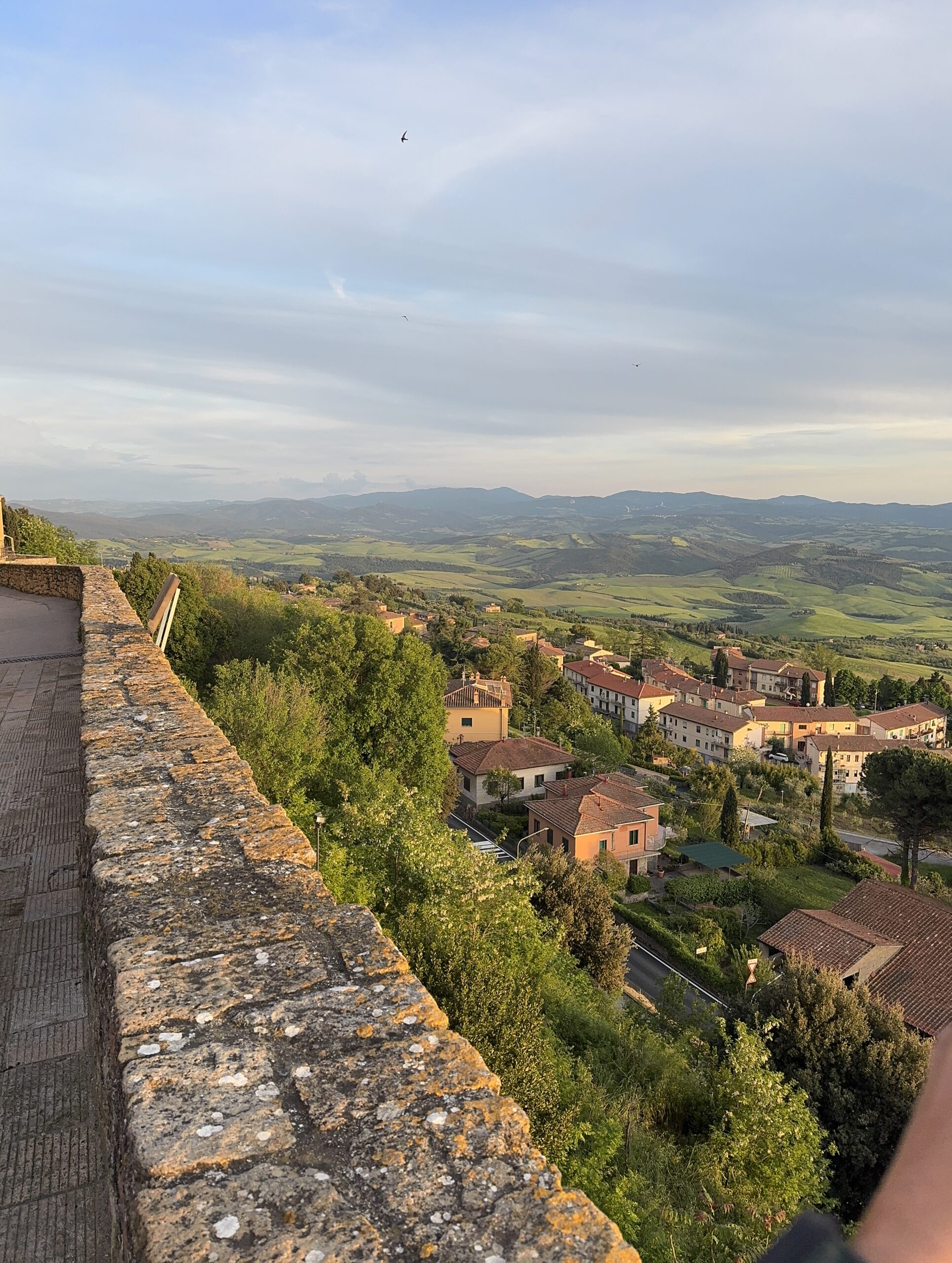 Volterra