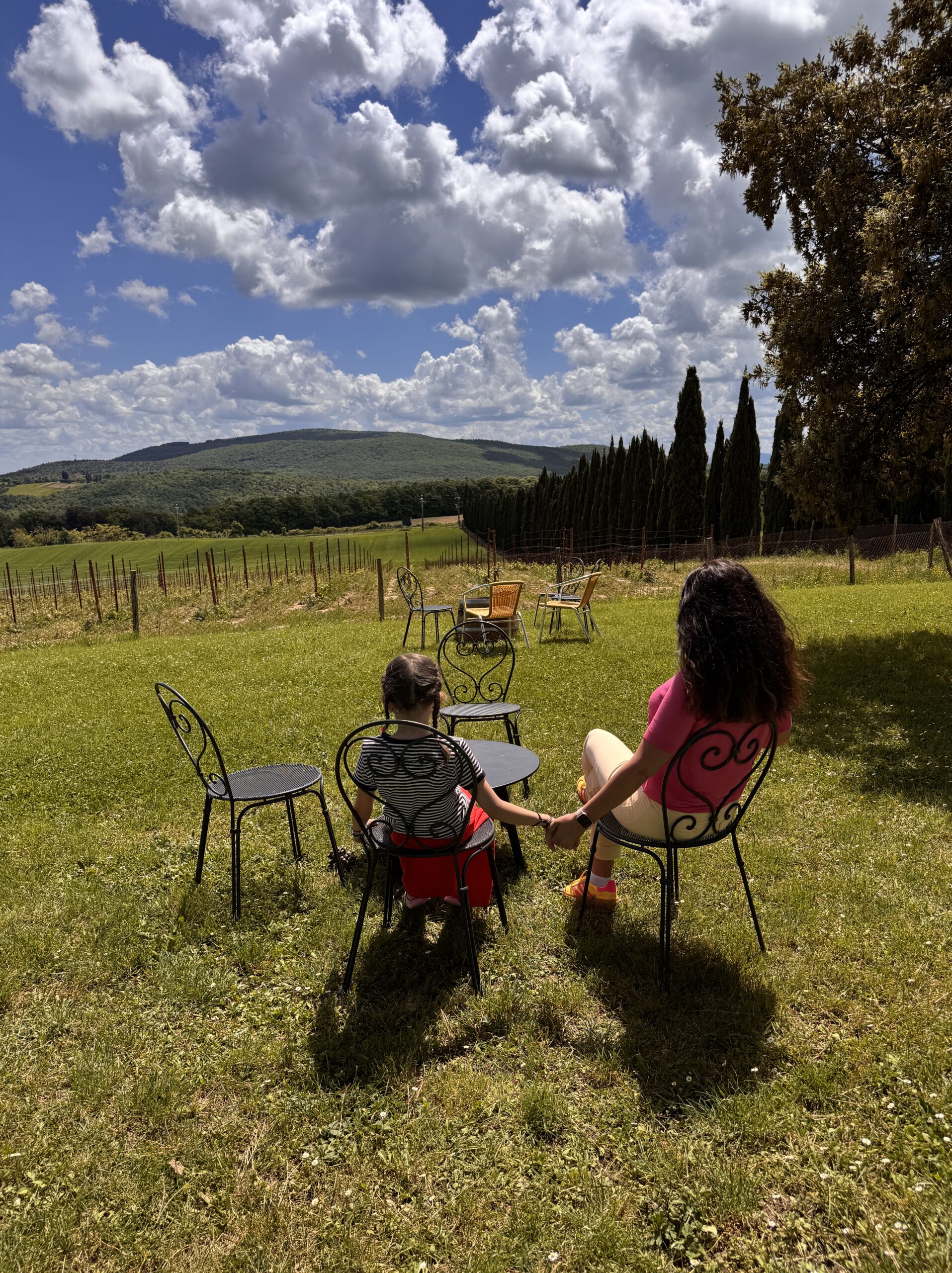 https://latorrefattoria.it/en/