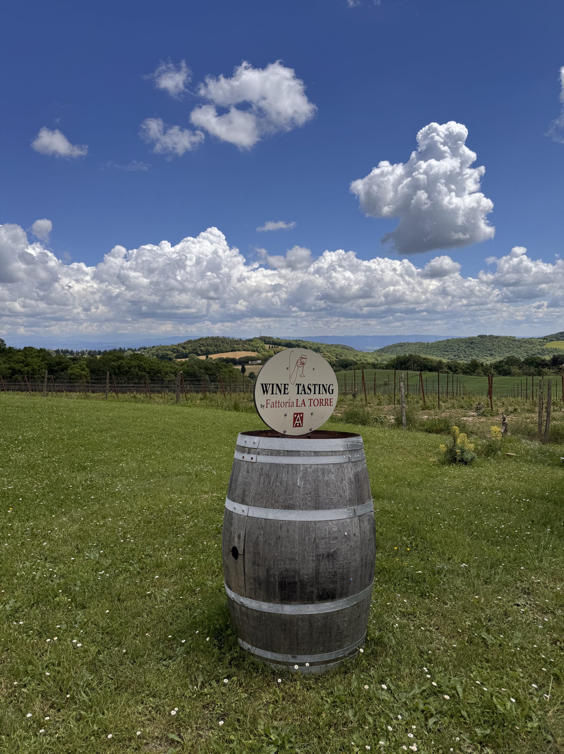 https://latorrefattoria.it/en/